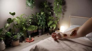 The Plants You Absolutely Must Avoid at Home: They Attract Bedbugs