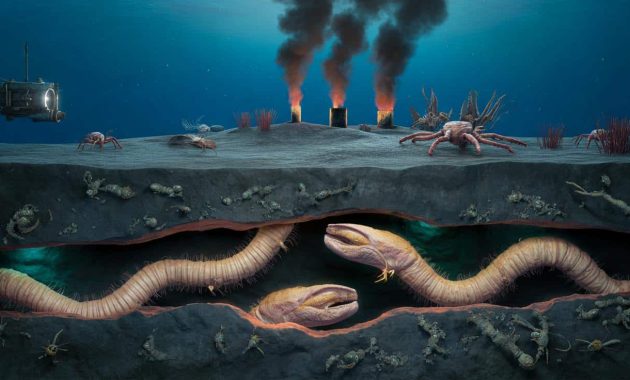 Giant worms found beneath the ocean floor leave scientists stunned