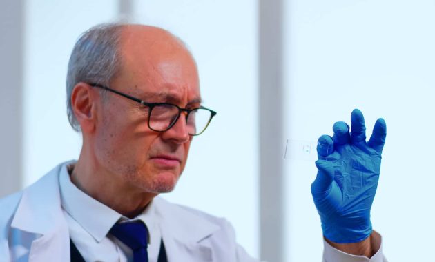 Researchers identify highly promising stem cells that could one day regenerate human teeth and repair damaged bone
