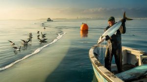 A first in forty years as the deep cold waters off Panama behave unexpectedly this year