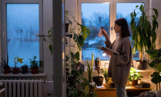 Why people who keep plants alive all year do this one thing differently in winter
